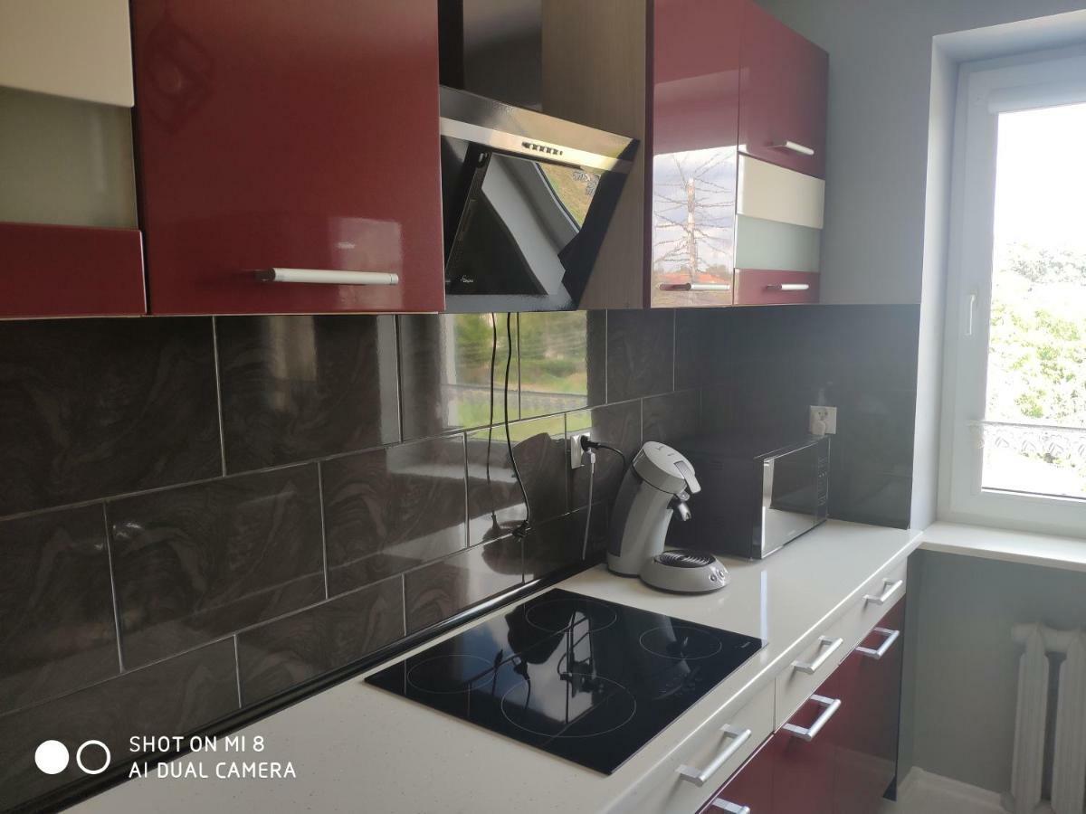 Appartement Apartament à Łęknica Extérieur photo
